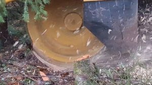 Как Удалить Пень Vermeer sc 70 tx