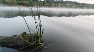 В ожидании крупной щуки какая то рыба оторвала поводок. Рыбалка с ночёвкой. Река Вятке. Часть 1.