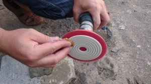 Диск полировочный черепашка