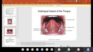 CH 10 & 24 Landmarks of the Face and Oral Cavity/ Dental Unit Waterlines