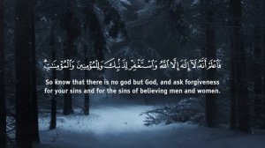 Surah Muhammad سورة محمد  (TRANQUILITY)