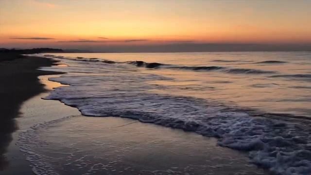 Отзыв Ольги Шаль об обучении в школе ШРИМ смотреть онлайн