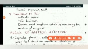 gastric juice and it's functions|GIT system part 3