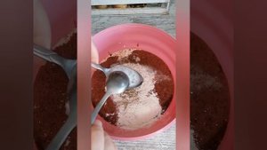 Печёночные оладьи со сметанным соусом.