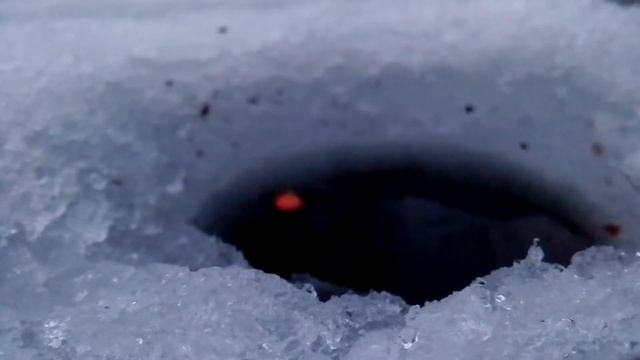 Клев плотвы в плохую погоду. Дождливая зима