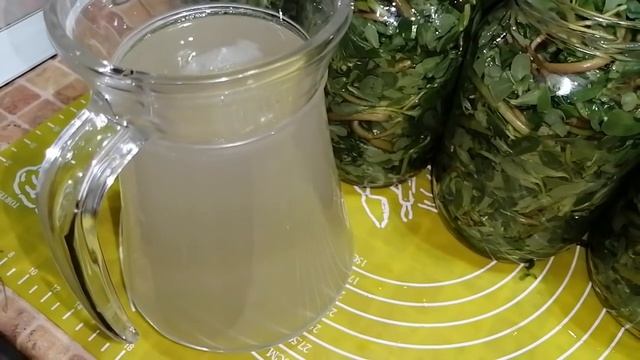 РЕЦЕПТ ЗАСОЛКИ ХРУСТЯЩЕГО ПОРТУЛАКА, ТАКЖЕ МОЖНО СОЛИТЬ ОГУРЦЫ И ПОМИДОРЫ! ПРОСТО И ПОЛЕЗНО!
