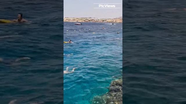 Отель в Египте Sunrise Arabian beach resort. Как выглядит море и пляж. Египет сегодня Шарм Эль Шейх