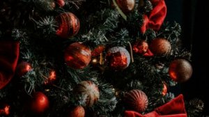 Почему Ель символ нового года? История откуда пошли эти традиции