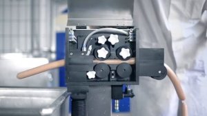 Автоматический пиллер для сосисок Schaelomat DK.01.VM