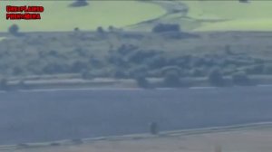 РАЗГАДАНА ТАЙНА КРУГОВ НА ПОЛЯХ