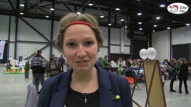 СОБАКИ ИРЛАНДСКИЙ СЕТТЕР ЗООШОУ 2016 НА ilikepet смотреть онлайн