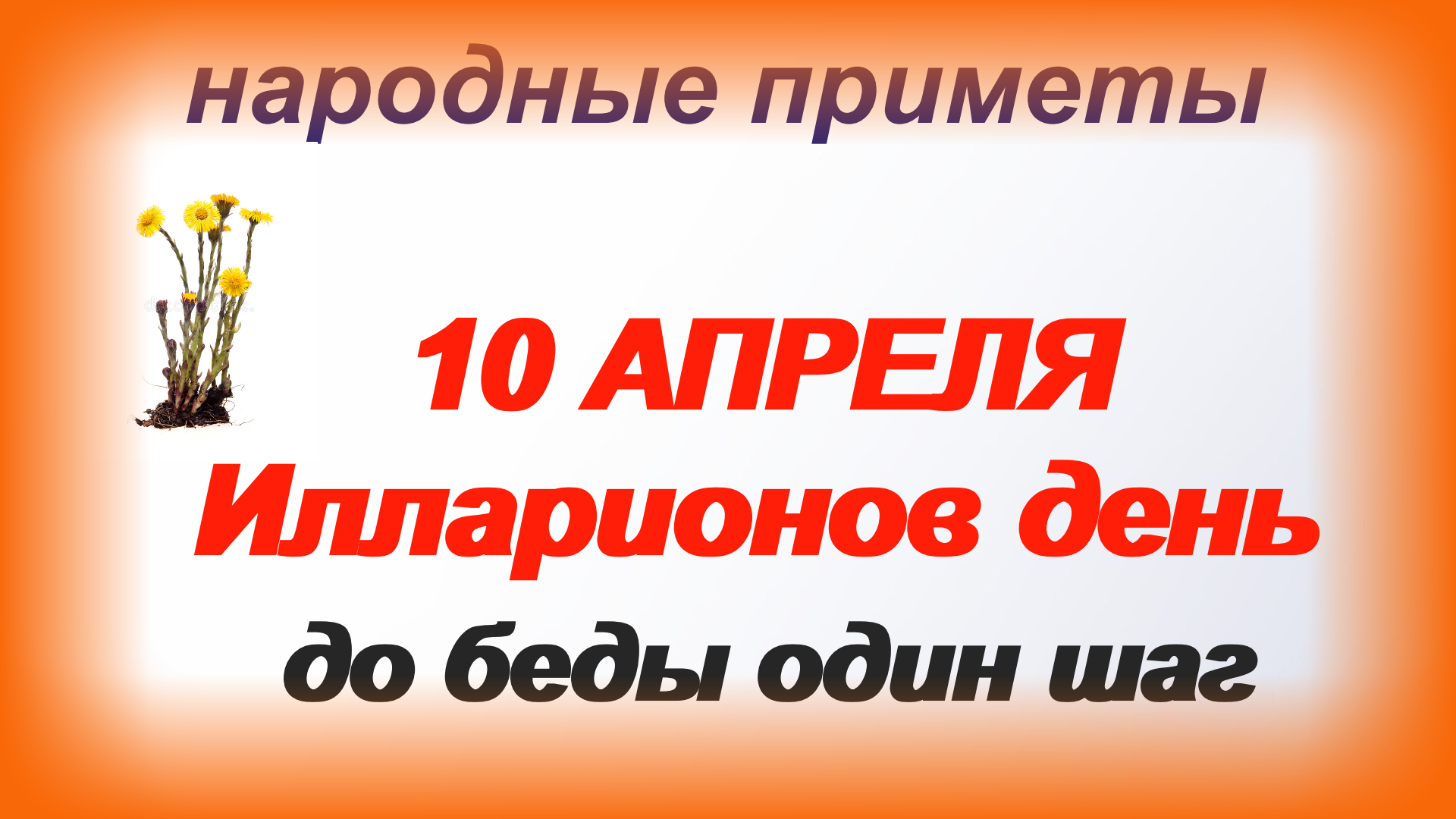 Илларионов день. 10 Апреля день Иллариона. 10 Апреля мать-и-мачеха Иларион. 10 Апреля народный календарь. 10 Апреля народные приметы картинки.