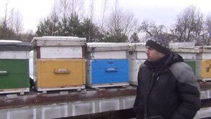 Какие летки оставлять открытыми зимой в улье??? Вентиляция в улье зимой на сетчатом дне и глухом дн