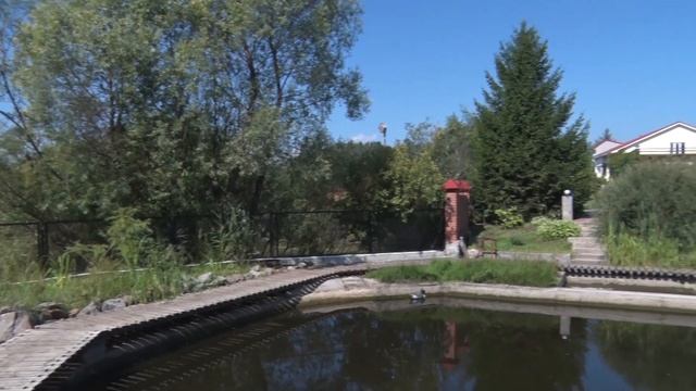 Пруд на даче. Заболоченность вокруг дачи. Из минуса получился плюс. смотреть онлайн