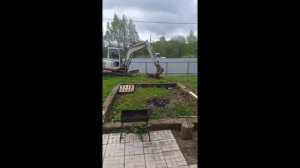 Очистка дачного участка от деревьев и пней.