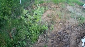 сильные родники в колодце( а куда деть эту воду)