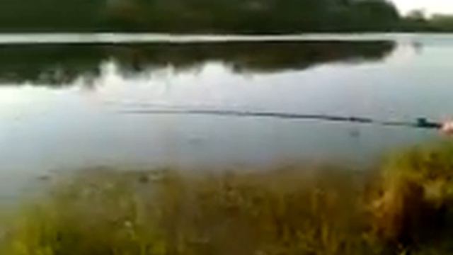 майский карась смотреть онлайн