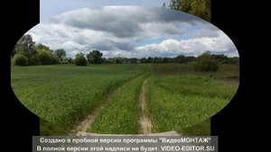 ГАПОНОВО-КРАСНООКТЯБРЬСКОЕ КОРЕНЕВСКОГО РАЙОНА КУРСКОЙ ОБЛАСТИ
