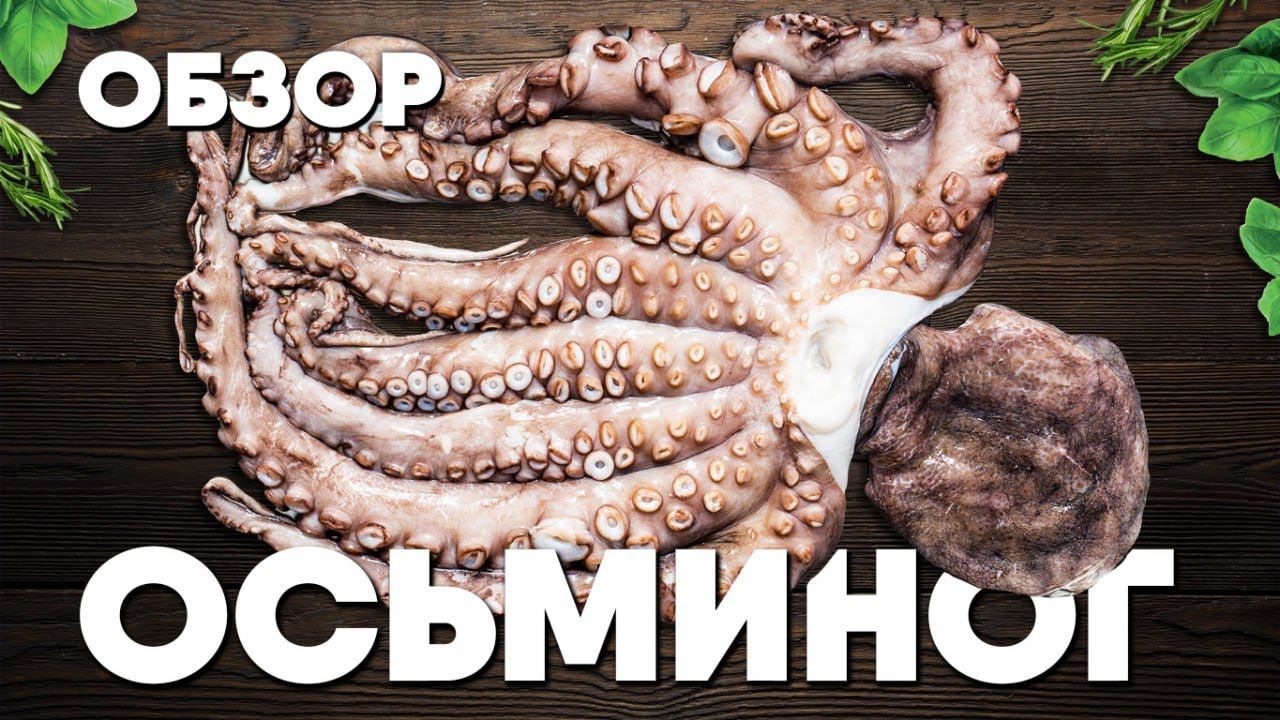 Обзор ОСЬМИНОГА из Мавритании. Как варить и разделывать осьминога. Шеф-повар Сергей Лигай