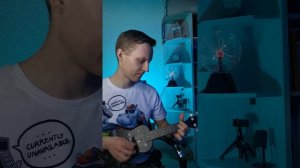 Укулеле. Дом восходящего солнца. House of the rising sun - Animals.