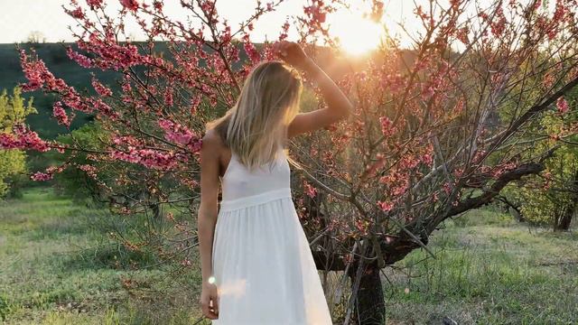 персиковый сад КРЫМ Бахчисарай смотреть онлайн