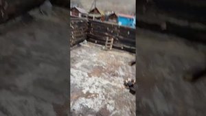 Сарай из шпалы. 7.11.2021