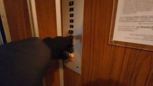 Поликлиника! Лифты МЛЗ 1981 г. в. ; Q=320 кг ; V=0.71 м/с