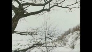 МОРОЗКО И НАСТЕНЬКА. С НАСТУПАЮЩИМ НОВЫМ ГОДОМ !