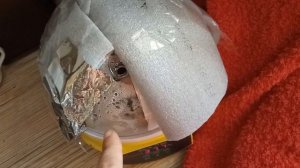 ВЫВОД ПЕРЕПЕЛОВ В КИТАЙСКОМ ИНКУБАТОРЕ в домашних условиях