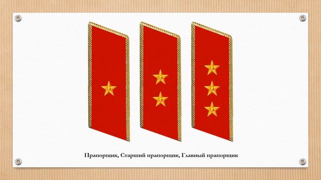 Альтернативные знаки различия армии