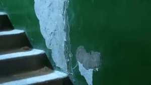 « Своими руками сделать ремонт в подъезде»