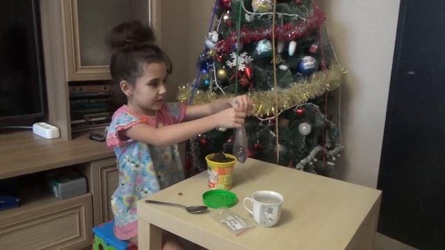 Сажаем мандариновое дерево