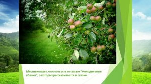 Старец Симеон с.Троицкая Вихляйка Сосновского муниципального округа