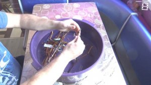 ПОСАДКА САЖЕНЦЕВ ВИНОГРАДА В КОНТЕЙНЕРЫ - УВЕЛИЧЕНИЕ ПЕРИОДА РОСТА. СЕВЕРНЫЙ ВИНОГРАДНИК 1-21