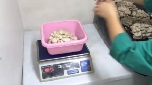 Калужский субстрат Выращивание вешенки в сарае