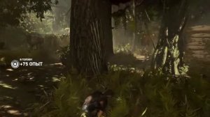 Прохождение Shadow of the Tomb Raider - Путь живых: Вернуться в Кувак-Яку #11