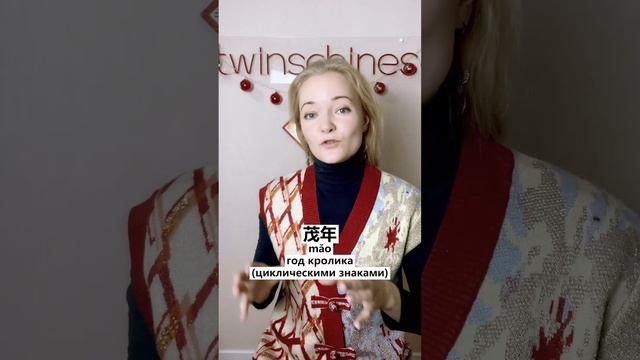 2023 год кролика или кота? | Китайский Новый Год | Школа китайского | Twins Chinese #shorts
