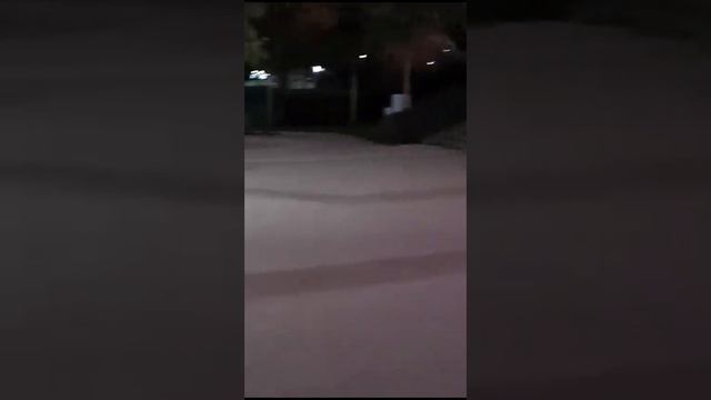 12 октября 2023 г.Главный вход в Мечеть.Main entrance to the Mosque. смотреть онлайн