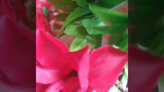 ПОДГОТОВКА БУКЕТОВ ДЛЯ ИЗДЕЛИЙ смотреть онлайн