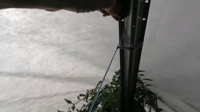 Чудотеплица БЕЗ ПРИКРАС смотреть онлайн