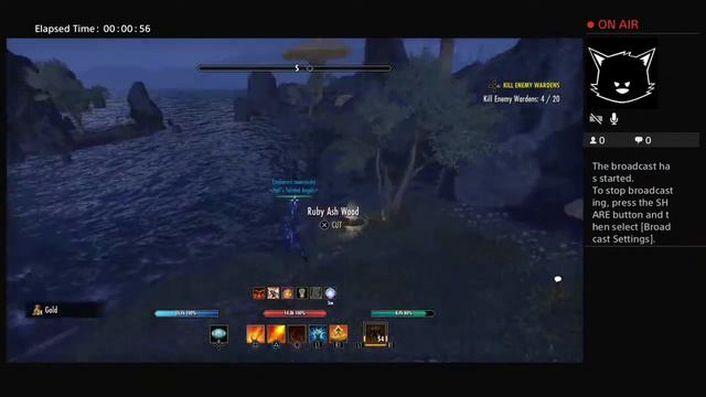 naomixsky's Live Ps4 vvardfall teasure map 1 смотреть онлайн