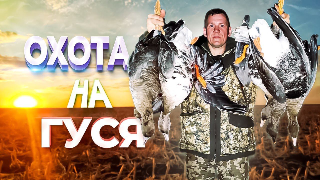 Охота на гуся 2021.ЭТО ВПЕРВЫЕ ЗА 30 ЛЕТ ОХОТЫ! смотреть онлайн