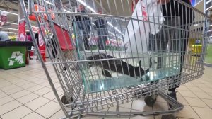 ЕНОТ ХАЙП впервые увидил ЖИВОГО ОСЁТРА ?