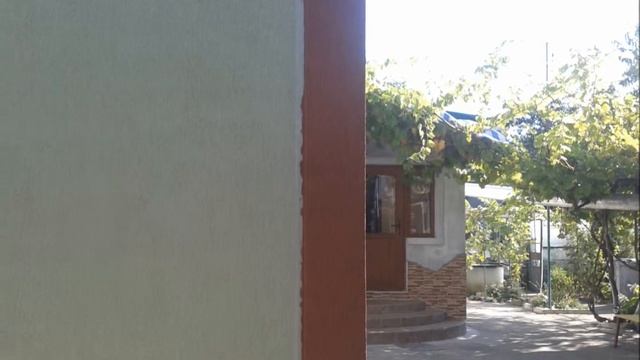 Короед минеральный смотреть онлайн