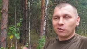 охота на медведя 2022г