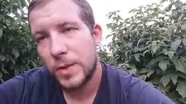 Малина Клубника смотреть онлайн