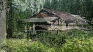 Элисенваара:  всё хорошо )))