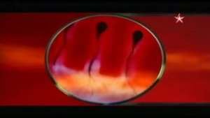 Савельев о мозге