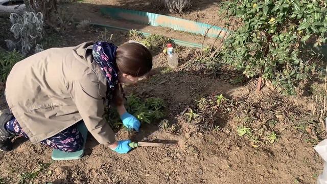 A venit timpul de GRADINARIT - Primele flori de PRIMAVARA смотреть онлайн