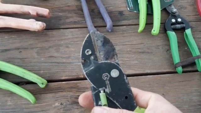 Не покупайте такие секаторы.Обзор секаторов для обрезки деревьев. смотреть онлайн